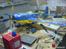 Fly Extra 330L