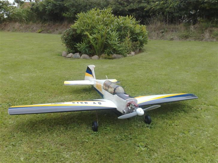 Fly Dalotel - På græs igen efter alle de år i en garage billede 1