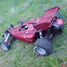 Buggy Tamiya, Bear Hawk
