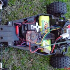 Buggy Tamiya, Bear Hawk