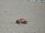 Bil Bonzer Monster Truck XTi