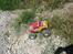 Bil Bonzer Monster Truck XTi