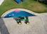 Truck Team Losi Micro T