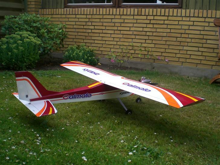 Fly Calmato 40 Trainer - DØD billede 2