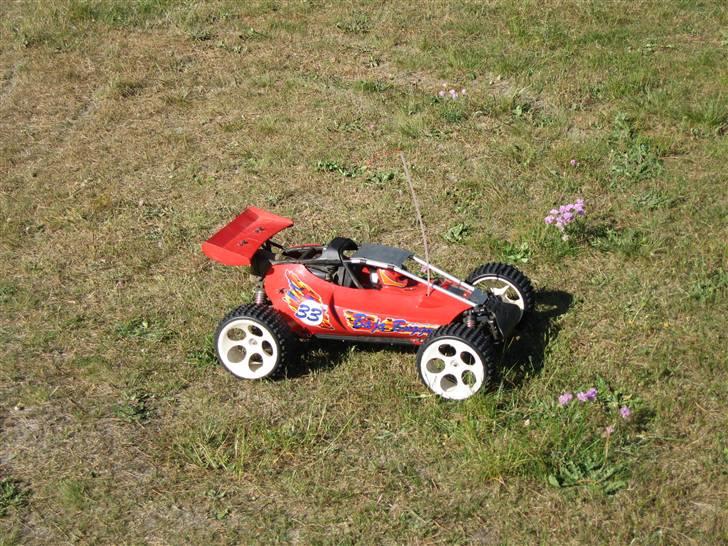 Buggy fg baja buggy billede 8