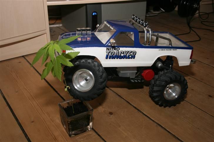 Off-Roader Kyosho Nitro Tracker billede 1