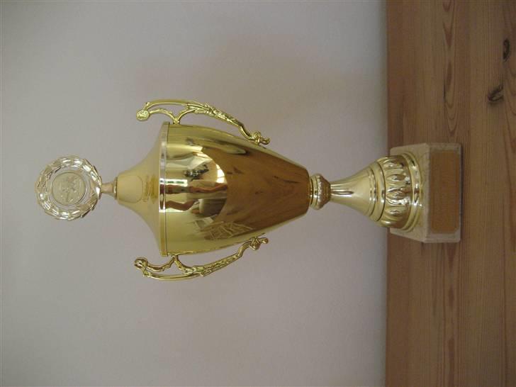 Bil mini-z mr02 - vores fine vandrepokal billede 14