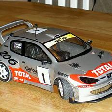 Bil peugeot 206 wrc