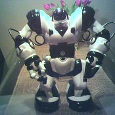 Robot Robosapien