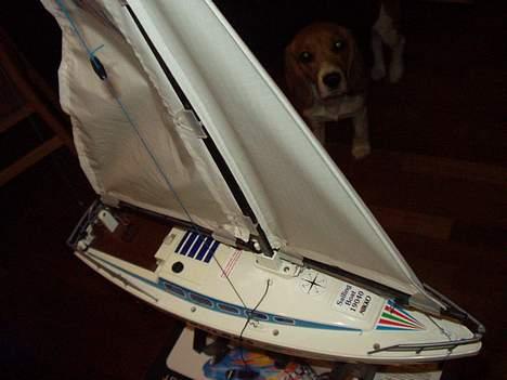 Båd Sailing Boat billede 4