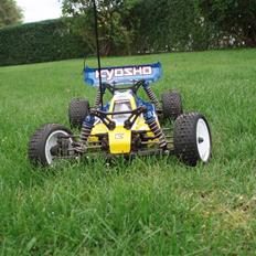 Buggy Lazer zx-5