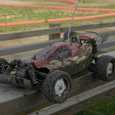 Buggy Rising Storm