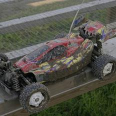 Buggy Rising Storm