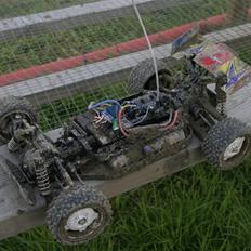 Buggy Rising Storm
