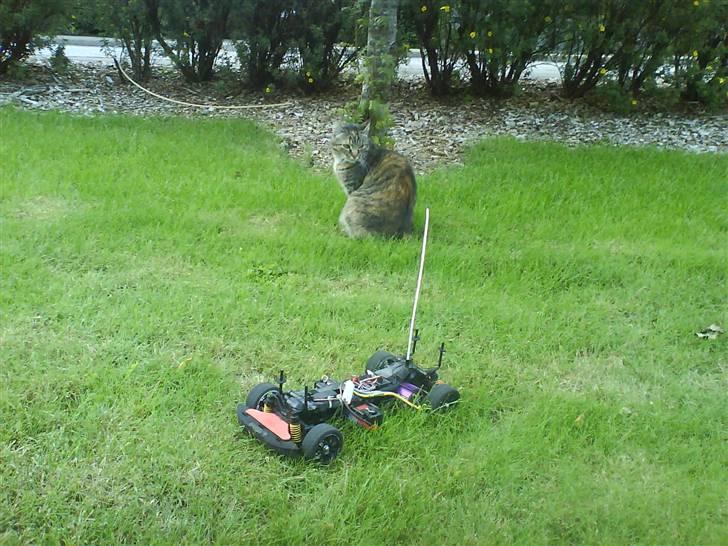 Bil HBX EVO  billede 11