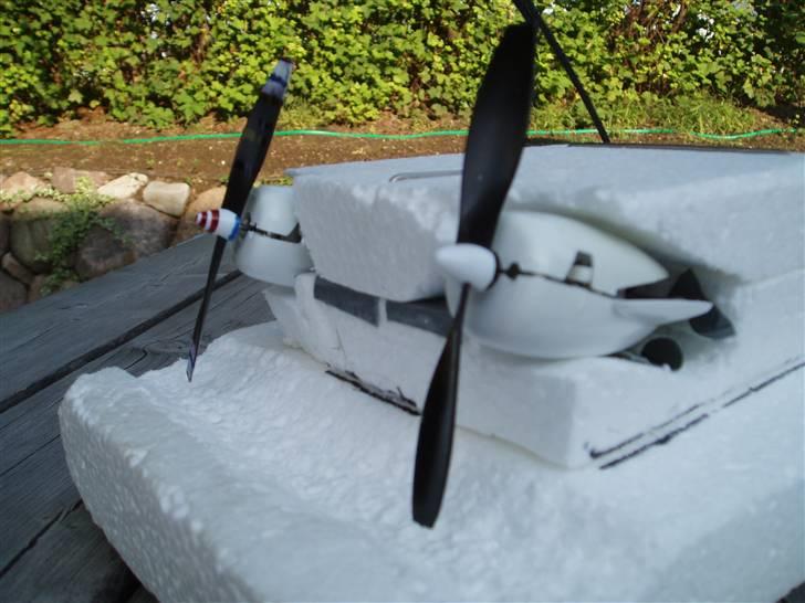 Båd flamingo hjemme fusk billede 4