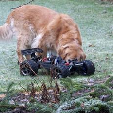 Bil E-revo Brushless