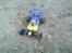 Buggy kyosho Lazer zx-5 TILSALG