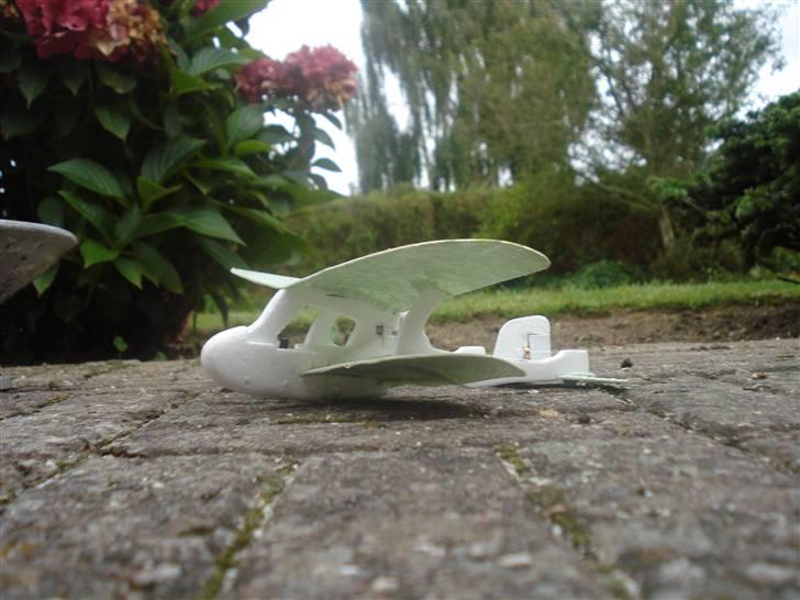 Fly Palm-Z billede 8