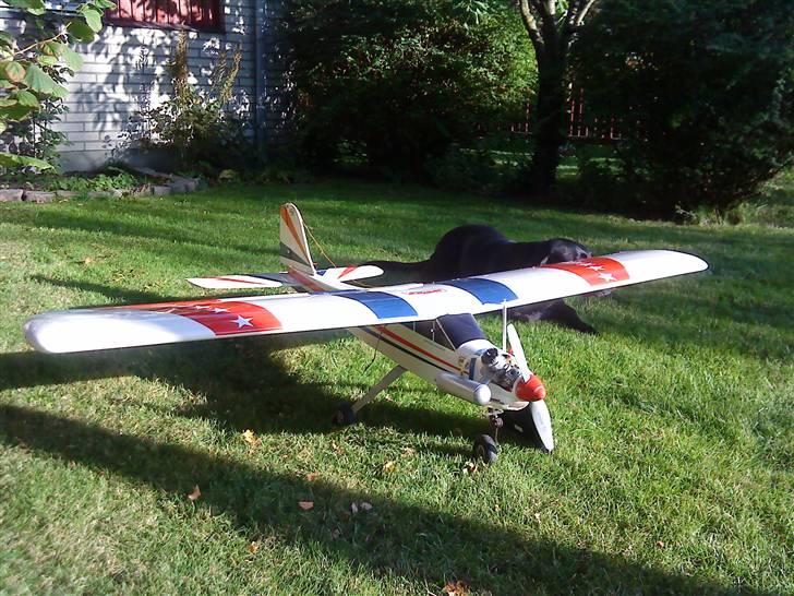 Fly Begynder fly billede 1