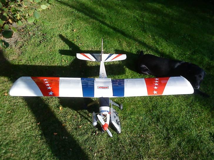 Fly Begynder fly billede 3