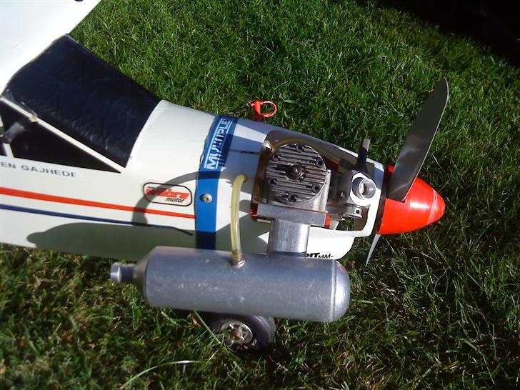 Fly Begynder fly billede 4