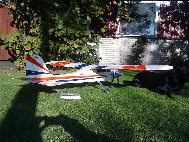 Fly Begynder fly billede 6