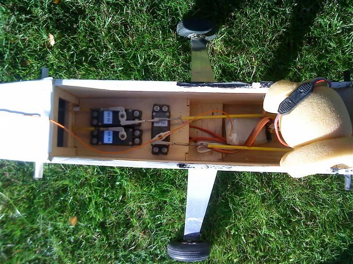 Fly Begynder fly billede 7