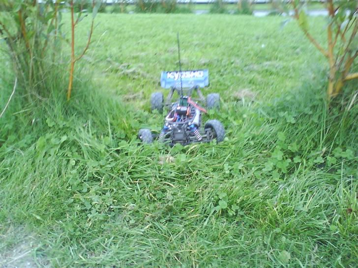 Buggy kyosho Lazer zx-5 TILSALG billede 11