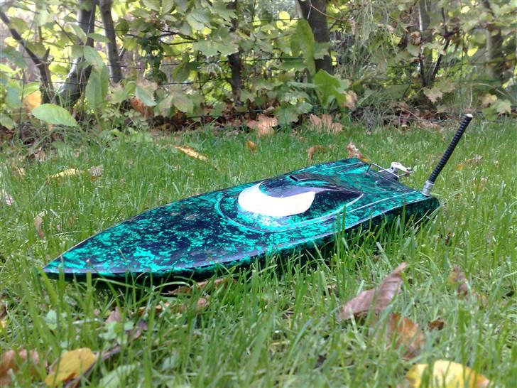 Båd Gecko "Solgt" billede 1