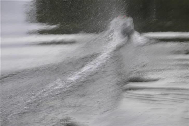 Båd Darkota billede 11