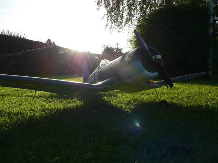 Fly corsair billede 6
