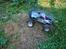 Off-Roader HPI Savage X 4.6 