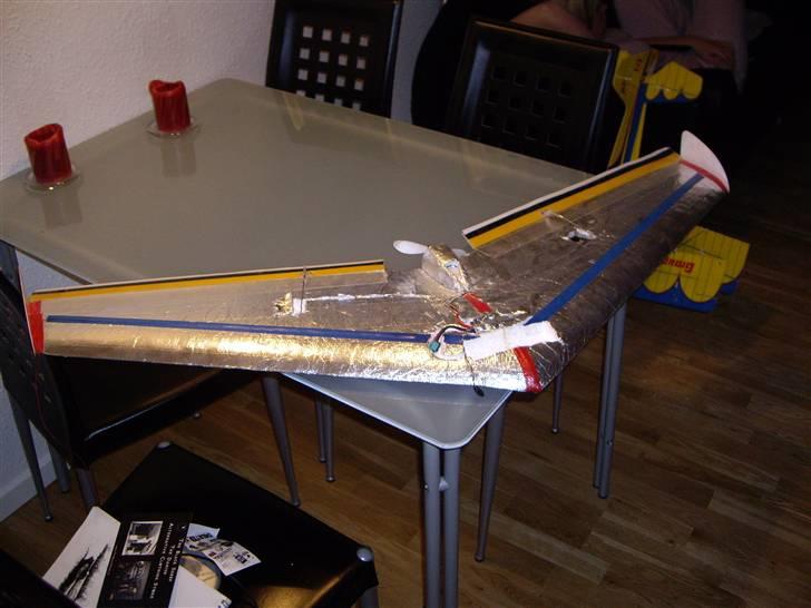 Fly Flyvende vinge "Solgt" billede 1