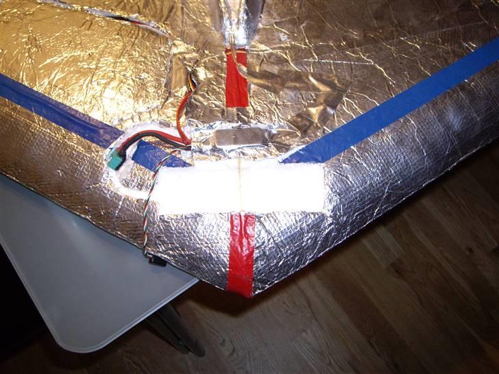 Fly Flyvende vinge "Solgt" billede 2