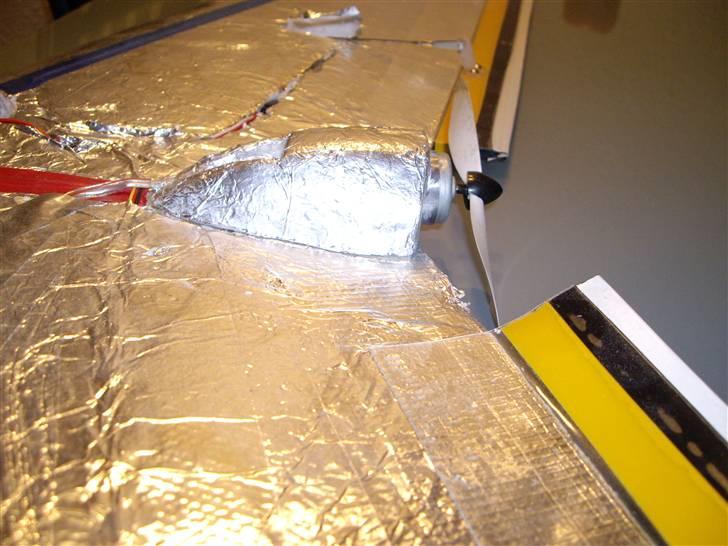 Fly Flyvende vinge "Solgt" billede 4