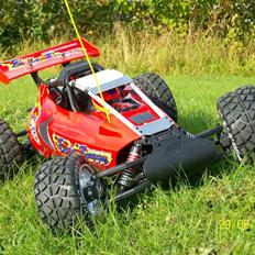 Buggy FG Baja Buggy