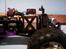 Off-Roader HPI Savage x 4.6