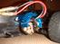 Bil HBX - Std. Motor