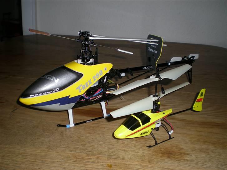 Helikopter T-rex 250 - Sammen med en af sine små venner billede 2