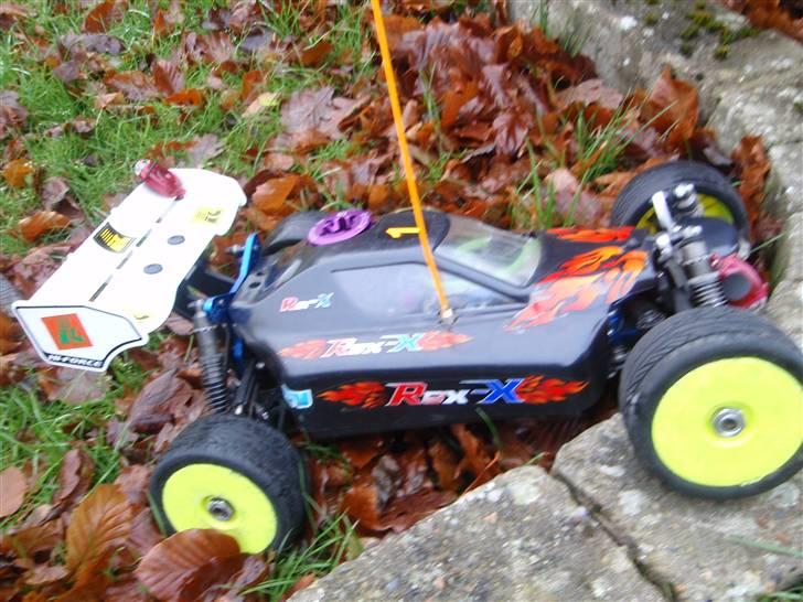 Buggy rex-x  billede 1