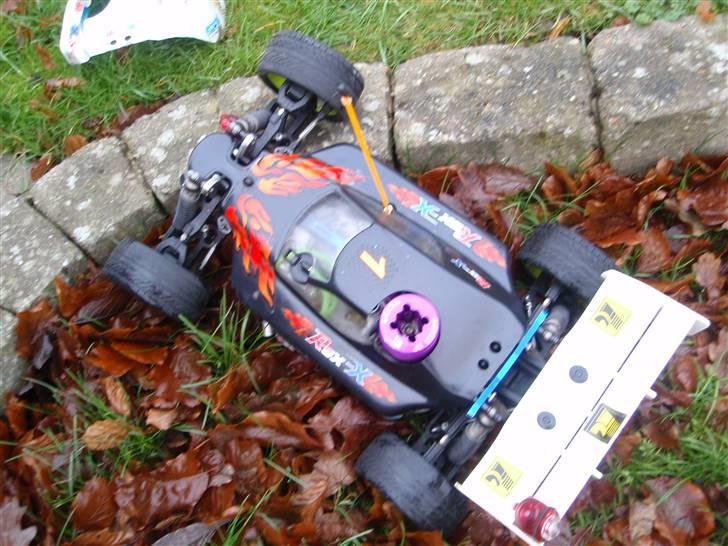 Buggy rex-x  billede 2
