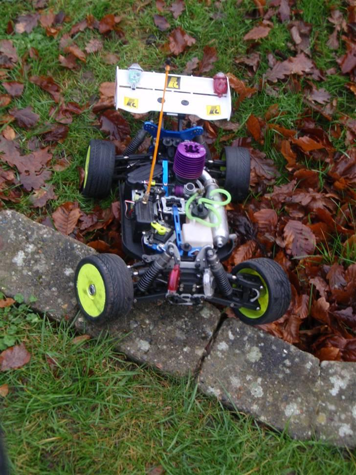 Buggy rex-x  billede 3