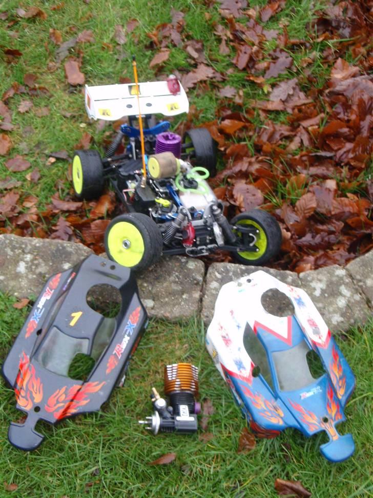 Buggy rex-x  billede 4