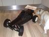 Buggy FG- Marder *SOLGT*
