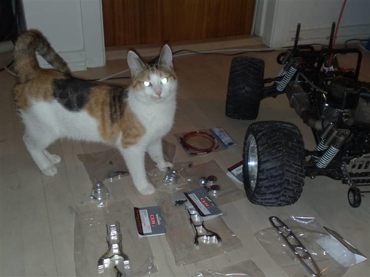 Truck CEN GST 7.7 billede 1