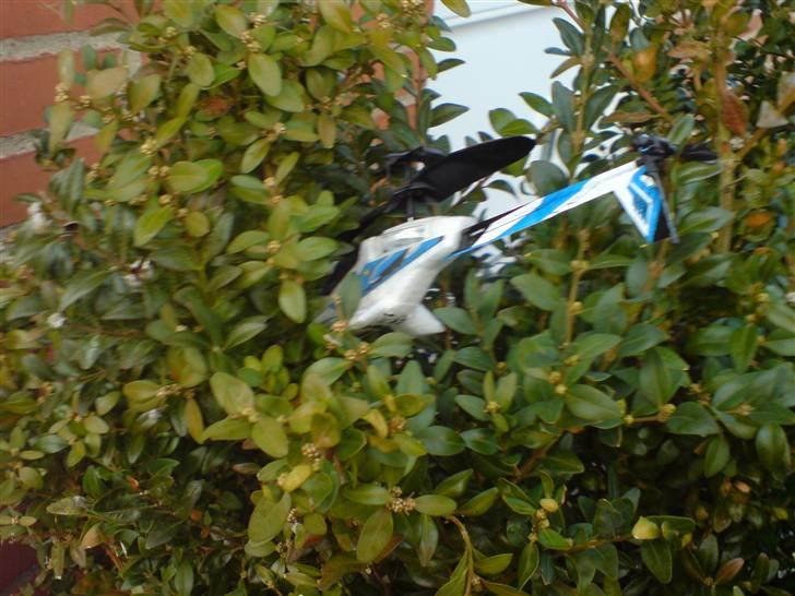 Helikopter Picooz - Craash!! :P billede 12