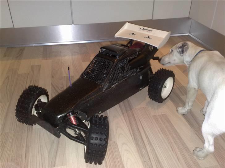 Buggy FG- Marder *SOLGT* billede 1