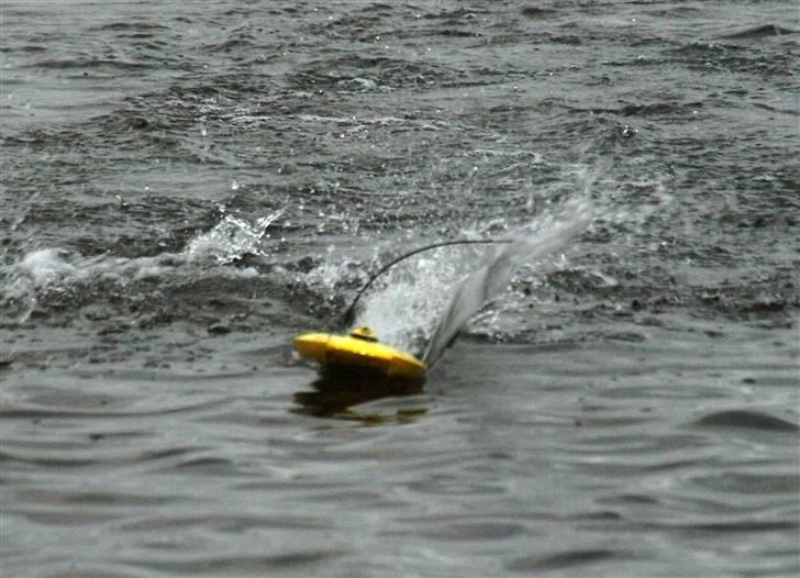 Båd PowerCat Mini Brushless billede 19