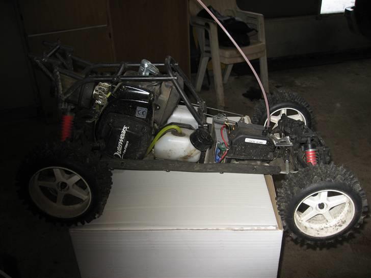 Buggy fg mardar billede 5